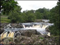 Low Force