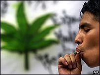 maconha