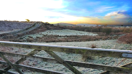 Frosty morning in the Neath valley by Mike Davies.
