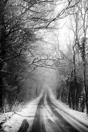 Snowy scenes in the Cotswolds (Photo: Andrew Lockie)
