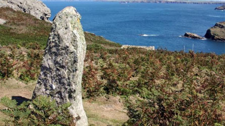 Skomer Island Harold Stone