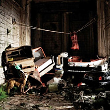 Review of New Inheritors Review of New Inheritors