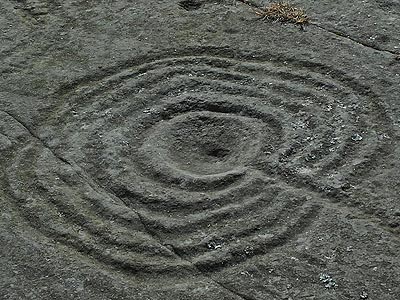 Photo courtesy of Dr Aron Mazel