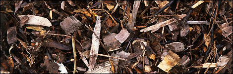 Mulch