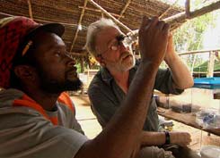 In the field laboratory