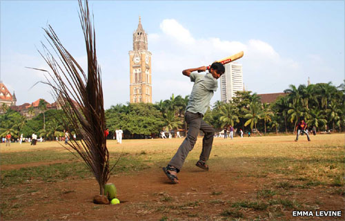 Boys play cricket with palm tree 'stumps'