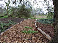 Path at Castle Gardens, Malton