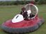 Hovercraft