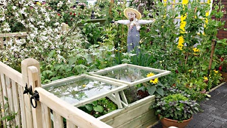 Generation Gardens - Credit Munch