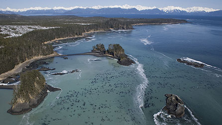 Nature's Great Events