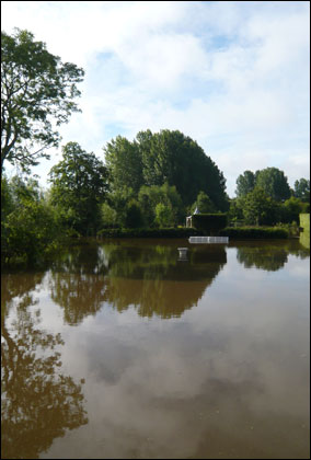Beside the arbour looking south