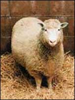 کلوننگ کے تجربے نے تمام دنیا کو دھنگ کر دیا