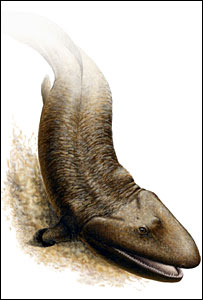 تیکتالیک روزئه