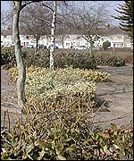 Edinburgh Street Community Garden at Gorse Hill