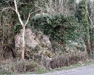 The salter's stone, near Blacklion