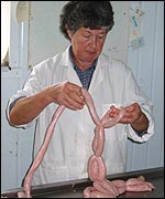 Alison Hart making sausages