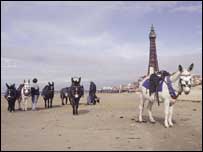 Blackpool Tower and donkeys