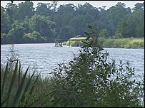 Drayton Hall's riverbank