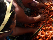 people washing turmeric