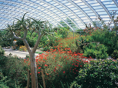 National Botanic Garden of Wales