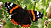 Click to enlarge
