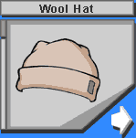 Beenie Hat