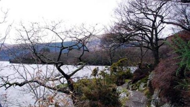 From Balmaha the way meanders along the shore of Loch Lomond where it can sometimes become very narrow and rocky.