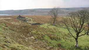 Colour view of Eaglesham Moor. In the foreground stands a small group of bare trees and the low ruins of a croft or other stone building. The edge of a loch or reservoir can be seen in a dip in the hills behind.