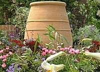 Container in the garden