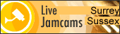 JamCams: Surrey and Sussex