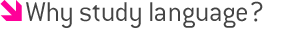 Why study language?