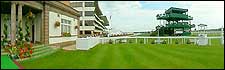 Panorama: winners' enclosure