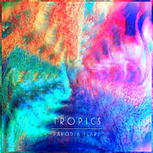 Review of Parodia Flare