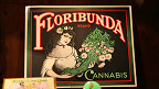 Museo del cannabis de Barcelona