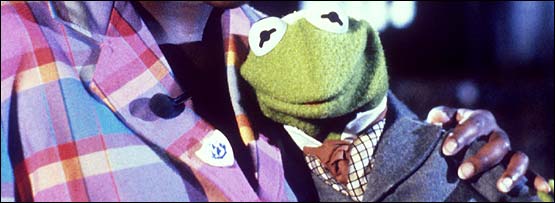 A muppet, Kermit the Frog