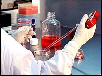 تحقيق به روی سلول پايه