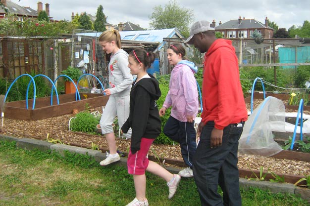Touring the allotment