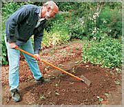 man raking soil