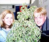 MIRAIN HAF A OWAIN EDWARDS 1AF DEIALOG AGORED