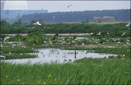 A view across Minsmere towards Sizewell B nuclear power station