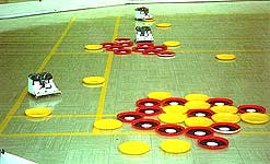 Mini-bots sorting two objects in the arena