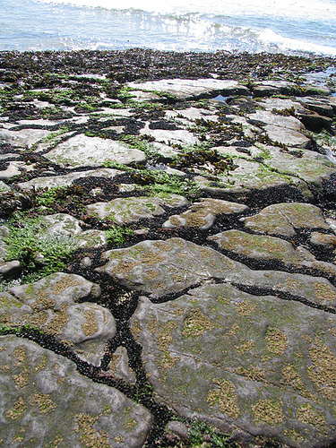 Clints and Grykes on beach at Spanish Point