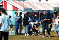 Maes y Steddfod y llynedd