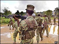 تمل ٹائیگرز