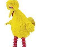 Why do we all look different?