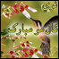 دنوي کال مېله