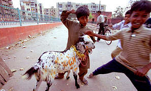 News image