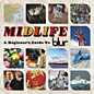 Review of Midlife: A Beginners Guide to Blur Review of Midlife: A Beginners Guide to Blur
