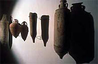 A photo showing pottery storage jars found at Lugnano dig site
