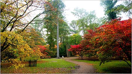 Westonbirt c/o Westonbirt Arboretum